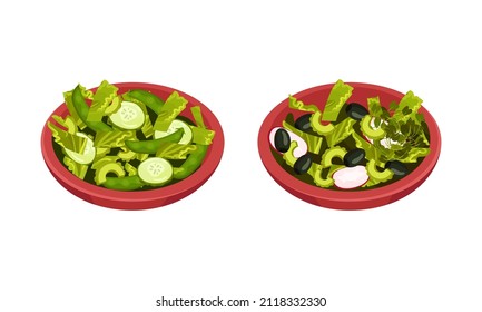 Fresh green vegetable salad served on plates set. Fresh and healthy vegetarian food vector illustration