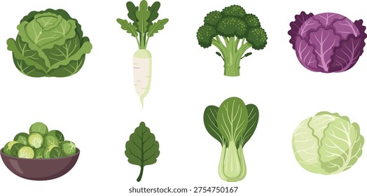 Fresh green vegetable set featuring cabbage broccoli radish bok choy and brussels sprouts isolated on white background for healthy organic food diet design.