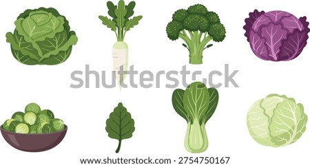 Fresh green vegetable set featuring cabbage broccoli radish bok choy and brussels sprouts isolated on white background for healthy organic food diet design.
