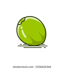Fresh Green water coconut vector icon