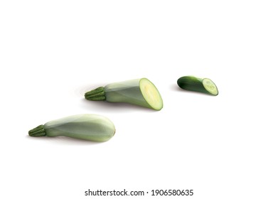 Fresh green zucchini with slice vector illustration isolated on white background