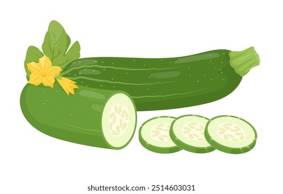 Fresh green Zucchini vegetable, slices and leaf. Organic garden vegetarian food. Farm zucchini plant icon. Vector illustration isolated on white background.