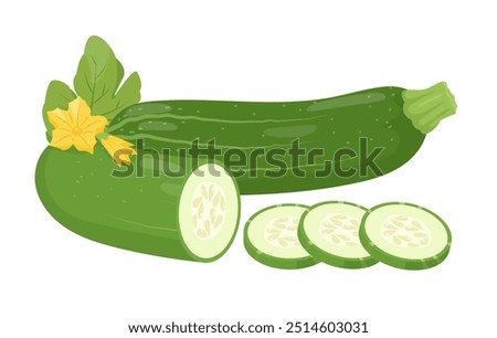 Fresh green Zucchini vegetable, slices and leaf. Organic garden vegetarian food. Farm zucchini plant icon. Vector illustration isolated on white background.