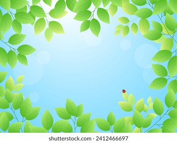 Fresh greenery and blue sky background frame