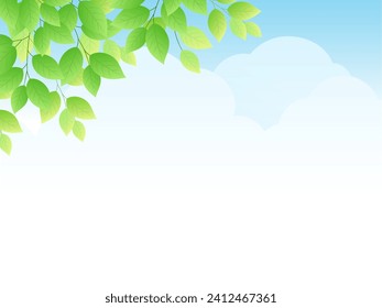 Fresh greenery and sky background frame