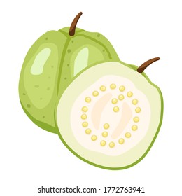 Fresh Guava fruit and guava slice on white background. Vector illustration flat cartoon design.