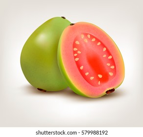 Fresh Guava Fruit. Vector.