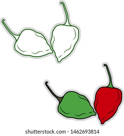 Habanero fresco, ilustración, vector sobre fondo blanco.