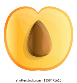 Fresh half apricot icon. Cartoon of fresh half apricot vector icon for web design isolated on white background