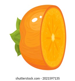 Frutos de persimón recién cortados a medio corte aislados en fondo blanco. Frutos de verano para un estilo de vida saludable. Fruta orgánica. Estilo de caricatura. Ilustración vectorial para cualquier diseño.