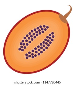 
Fresh half cut piece of fruit with small seeds , papaya
