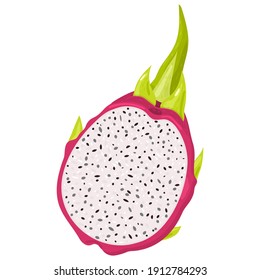 Fresh half cut red pitaya fruits isolated on white background. Summer fruits for healthy lifestyle. Organic fruit. Cartoon style. Vector illustration for any design.
