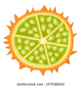 Fresh half cut yellow kiwano fruit isolated on white background. Summer fruits for healthy lifestyle. Organic fruit. Cartoon style. Vector illustration for any design.