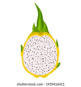 Fresh half cut yellow pitaya fruits isolated on white background. Summer fruits for healthy lifestyle. Organic fruit. Cartoon style. Vector illustration for any design