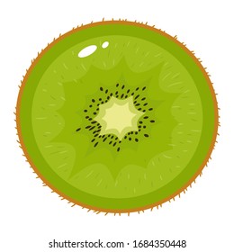 Fresh half kiwi fruit isolated on white background. Summer fruits for healthy lifestyle. Organic fruit. Cartoon style. Vector illustration for any design.