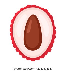 Frutos de media liqueta frescos aislados en un fondo blanco. Frutos de verano para un estilo de vida saludable. Fruta orgánica. Estilo de caricatura. Ilustración vectorial para cualquier diseño.