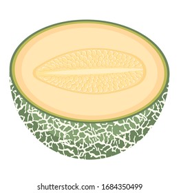 Medio melón fresco aislado en fondo blanco. Melón cantaloupe. Frutas de verano para un estilo de vida saludable. Fruta orgánica. Estilo de caricatura. Ilustración vectorial para cualquier diseño.