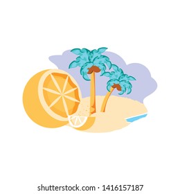 fresh half of orange in the beach