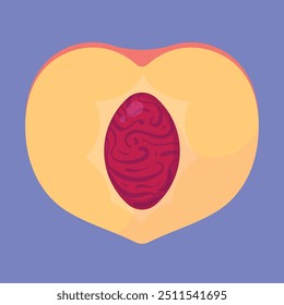 Medio Vector de fruta de melocotón fresco. icono de fruta de melocotón. icono de rebanada de melocotón jugoso fresco