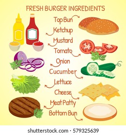Fresh Hamburger ingredients vector set 1