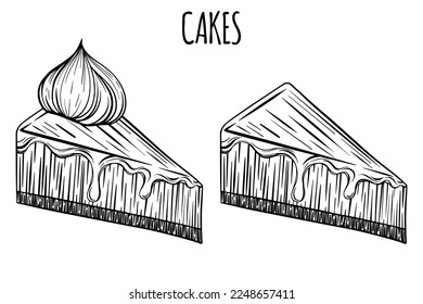 Fresh hand drawn cake, pie or cheesecake for bakery or pastry shop. Vector outline sketch black isolated illustration.