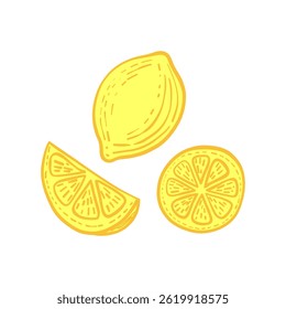 Fresh hand drawn lemon illustration featuring a whole lemon, a slice, and a half slice. Bright citrus artwork perfect for kitchen decor, food packaging, summer designs, organic product branding