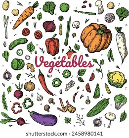 Fresh Hand Drawn Vegetables Vintage Doodles Colored Hatching Bundle Set Collection