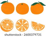Fresh hand-drawn orange vector illustration, hand-drawn tangerine illustration, citrus with leaves, sliced orange, tangerine, oranges, tangerine fruit pattern, healthy food, vitamins, menu, drink menu