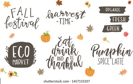 Fresh harvest vector lettering set isolated on white background. It can be used for cards, brochures, poster and other promotional materials.