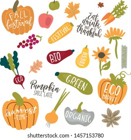 Fresh harvest vector set isolated on white background. It can be used for cards, brochures, poster and other promotional materials.