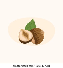 Fresh hazelnut kernels and shelled hazelnuts. Green leaf. Vector illustration.