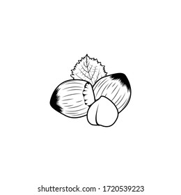 Fresh hazelnuts, peel and leaf, vector detailed illustration
