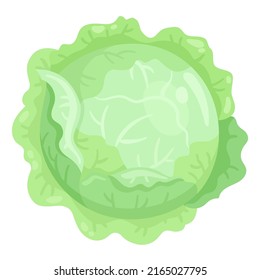 Fresh head of cabbage. In cartoon style. Isolated on white background. Vector flat illustration.