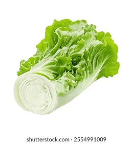 A fresh head of lettuce with vibrant green leaves, ideal for salads and healthy meals.