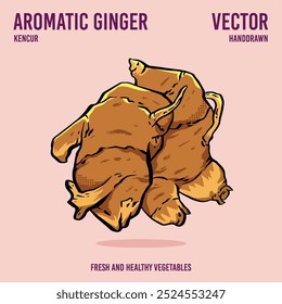 Fresh and healthy aromatic ginger vector illustration