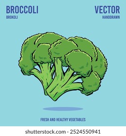 Fresh and healthy broccoli vector illustration