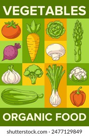 Fresh and healthy farm vegetables, harvesting, organic food. Vector geometric modern vertical poster a4, eco veggies icons. Minimal abstract layout for banner, menu, flyer, cover, farmers market