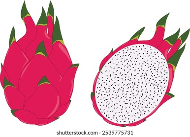 Fresca y saludable fruta de dragón rojo entero y medio aislado sobre fondo blanco, perfecto para Elementos de diseño, frutas tropicales de verano, Vector eps 10.