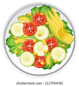 A Fresh Healthy Salad illustration