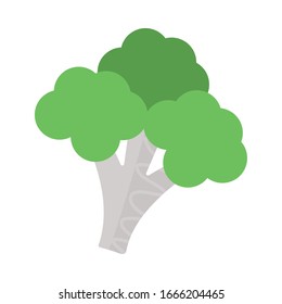 fresh and healthy vegetable, broccoli on white background vector illustration design