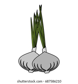 fresh healthy vegetable icon