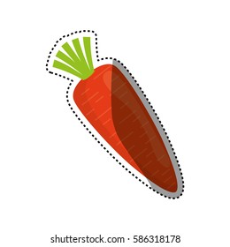 Fresh and healthy vegetable icon vector illustration graphic design