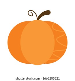 fresh and healthy vegetable, pumpkin on white background vector illustration design