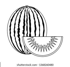 fresh healthy watermelon with kiwi fruits