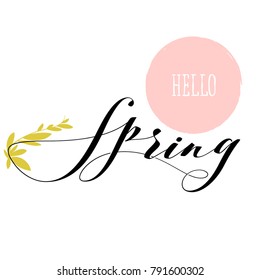 Fresh hello spring lettering and growing herb stem
