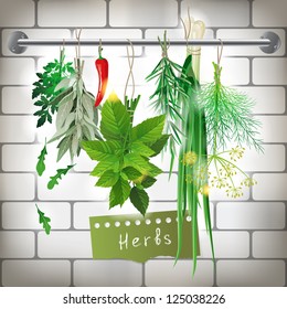 Fresh herbal bunches over the kitchen background. EPS 10