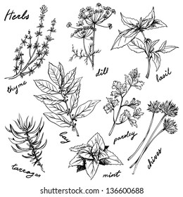 fresh herbs