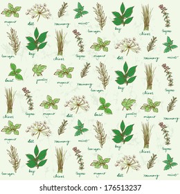 Fresh herbs background vector