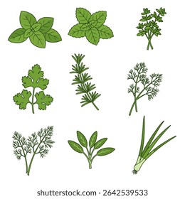 Fresh Herbs Collection Basil com menta, salsa e muito mais.