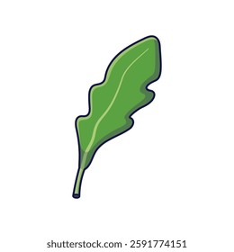 Fresh herbs concept. Cute arugula leaf. Vector cartoon icon illustration.Outline Arugula in doodle style. Isolated on white background.